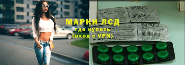 прущие грибы Богородицк