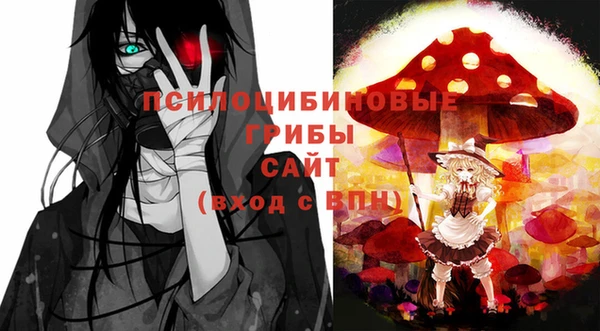 соль ск Нязепетровск
