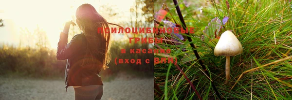 прущая мука Новодвинск