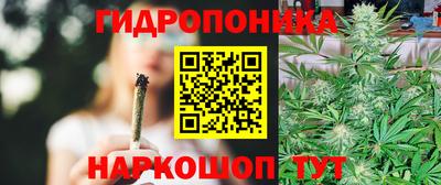 скорость Заволжье