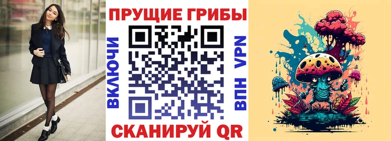 Псилоцибиновые грибы мицелий  сколько стоит  Тавда 