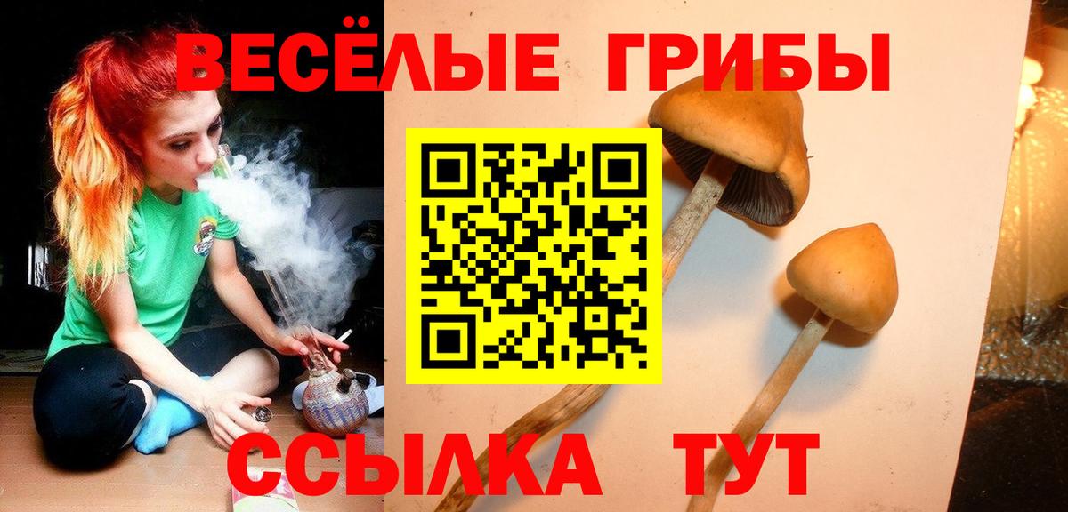 Псилоцибиновые грибы ЛСД Тавда