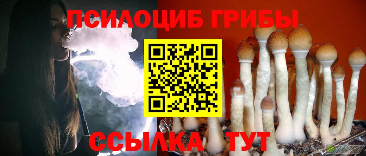 Галлюциногенные грибы MAGIC MUSHROOMS  Вход с VPN  Тавда 